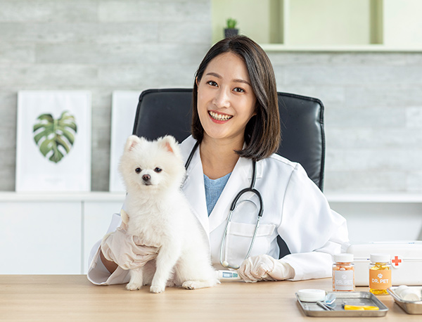 대전홈페이지제작 웹피플